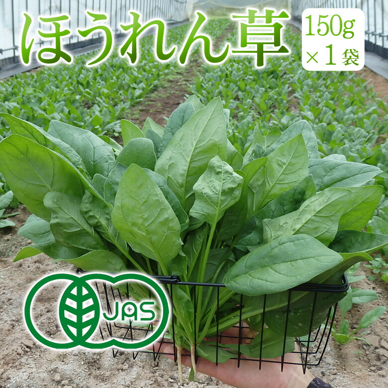 楽天市場】ほうれん草 200g×10P 有機栽培 冷蔵便 鹿児島県産
