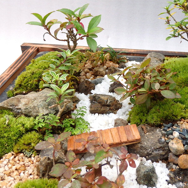 お中元 寝具 盆栽 薪割りl 盆景 ミニ庭園 薪割りl 送料無料 ビール あるまま癒しの空間をお楽しみください