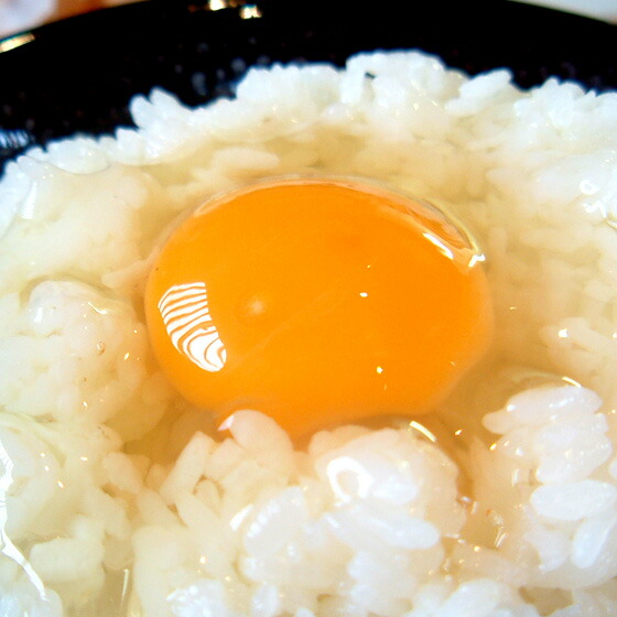 かけ たん 熊 ご飯 卵