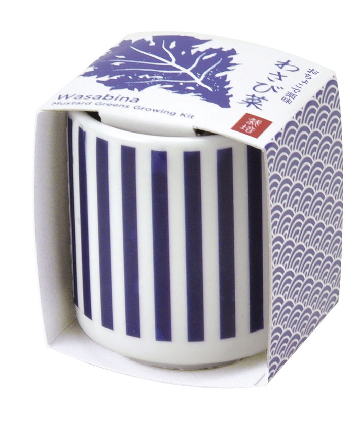おちょこで薬味栽培セット わさび菜 ギフト 聖新陶芸 栽培セット インテリア雑貨 母の日 観葉植物 2021人気No.1の ガーデニング 父の日 直営店