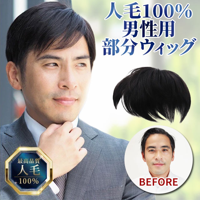 メンズ 部分ウィッグ 人毛100％メンズヘアピース 男性用 男性用部分かつら 男性用部分ウィッグ メンズウィッグ 薄毛かくし 白髪隠し 男性用薄毛カバーかつら TefuRe メンズプロフェッショナル 富士達 送料無料