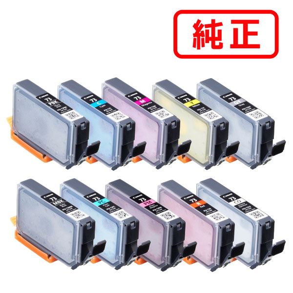 Canon PIXUS 73 インクカートリッジ 10色セット 新品 キヤノン CANON キャノン 純正品 インクタンク PGI-73 10色