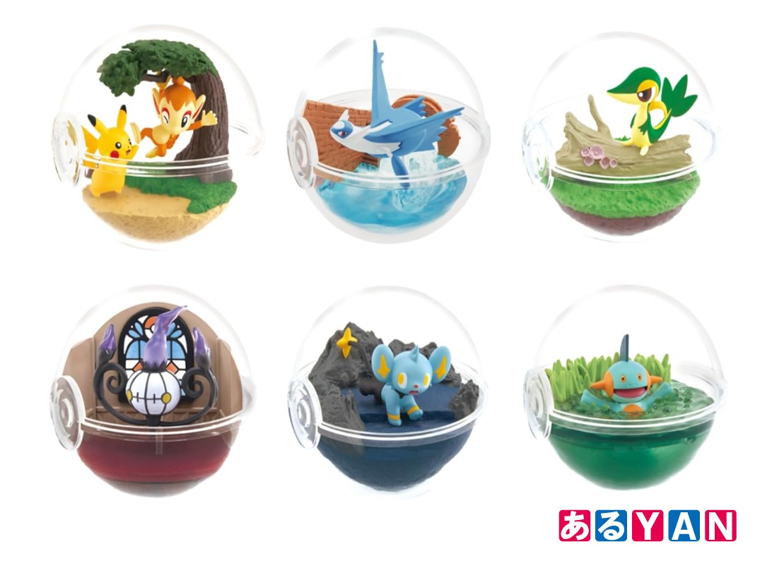 ポケモン テラリウム 6 コンプリート セット Box 楽天市場】送料無料 リーメント ポケットモンスター テラリウム