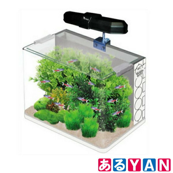 在庫限り 送料無料 ホームアクアリウムオールセット レッドビーシュリンプ 36cm水槽 飼育に必要なもの全てお届け 家族の団欒 インテリア 癒しに セールsale Aivs60 Org