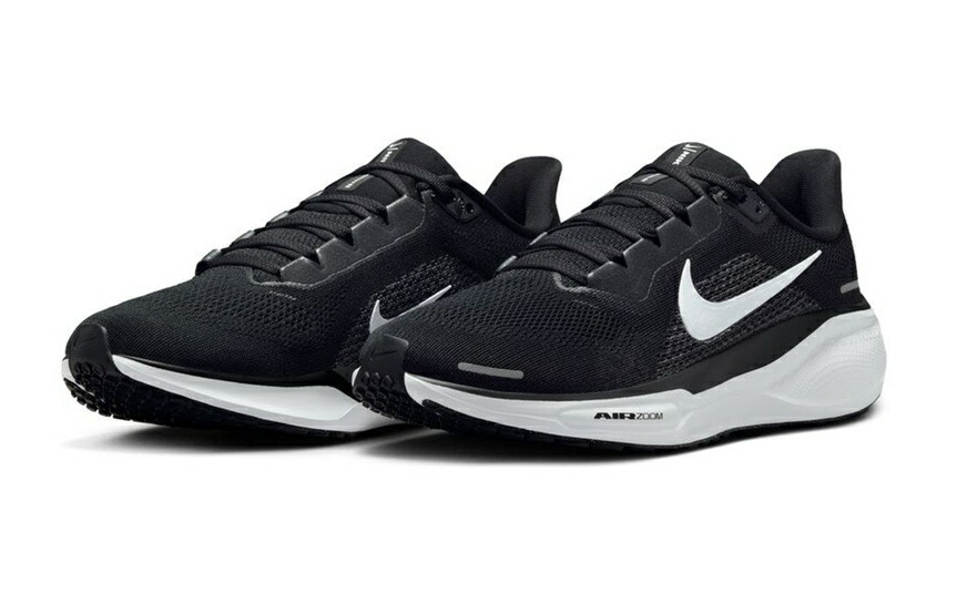NIKE WMNS PEGASUS 41 ナイキ ウィメンズ ペガサス 41