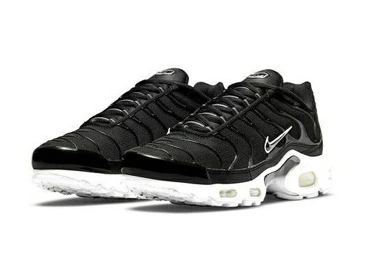 NIKE WMNS AIR MAX PLUS ナイキ ウィメンズ エア マックス プラス