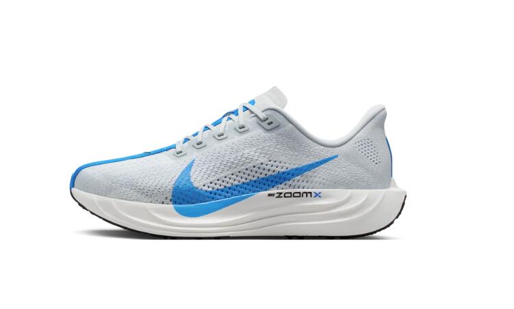 Nike Pegasus Plus 28cm ナイキ ペガサス プラス ogp.jpg