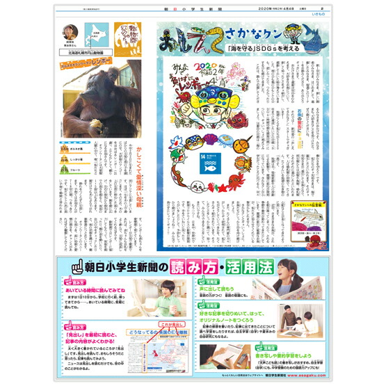 楽天市場 朝日小学生新聞6ヶ月分 朝日学生新聞社 楽天市場店