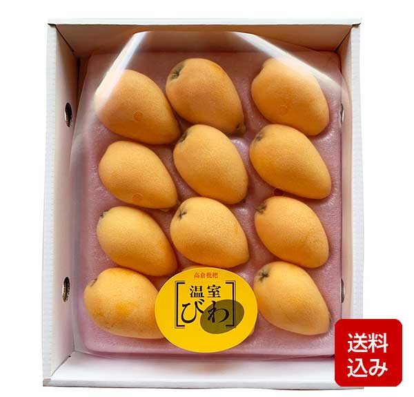 びわ 500g 高倉びわ 長崎早生 誕生日祝い 父の日 お中元 ギフト のし無料