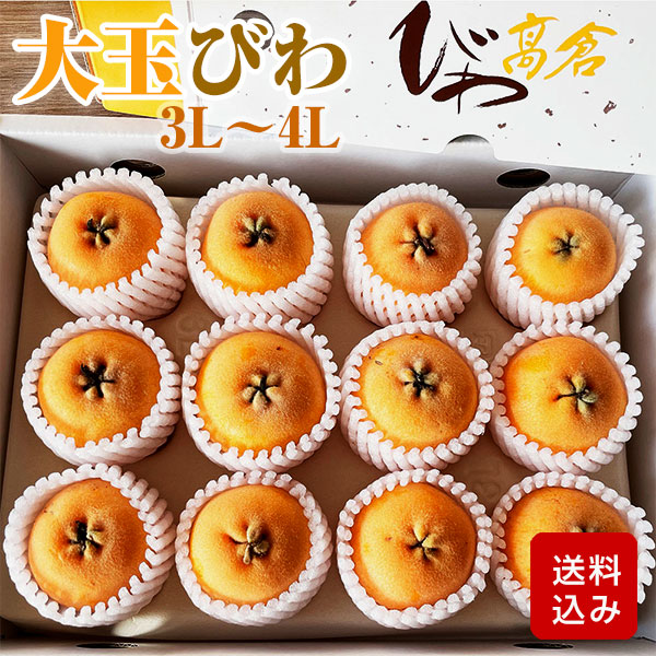 びわ 大玉 1kg  3L-4L 化粧箱入  高倉びわ なつたより 福岡県産