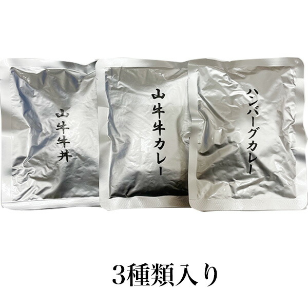 クリスマスファッション 宮崎県産 牛丼とカレーのお試し３種類セット 国産 レトルト おかず メール便 www.hotelpabela.com