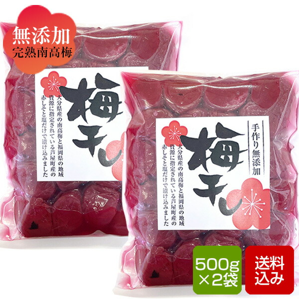 梅干し 無添加 すっぱい梅干し 500g 2袋 無着色 1kg しそ梅