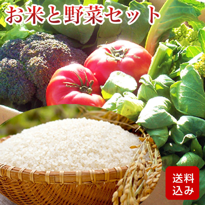 野菜とお米のギフト 無洗米2kg入  父の日 お中元 ギフト 誕生日祝い　クール便