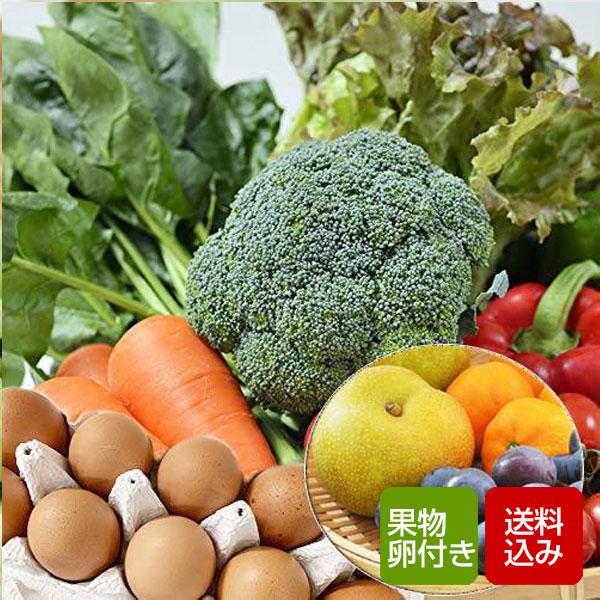 野菜と卵、果物付きセット 野菜つめあわせ のし無料 クール便