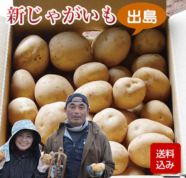 楽天市場】予約 品薄＼マツコの知らない世界で特集／秋植え じゃがいも