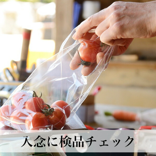 森のくまさん無洗米5kgお米ランキング2014特A受賞一等米の森のくまさん