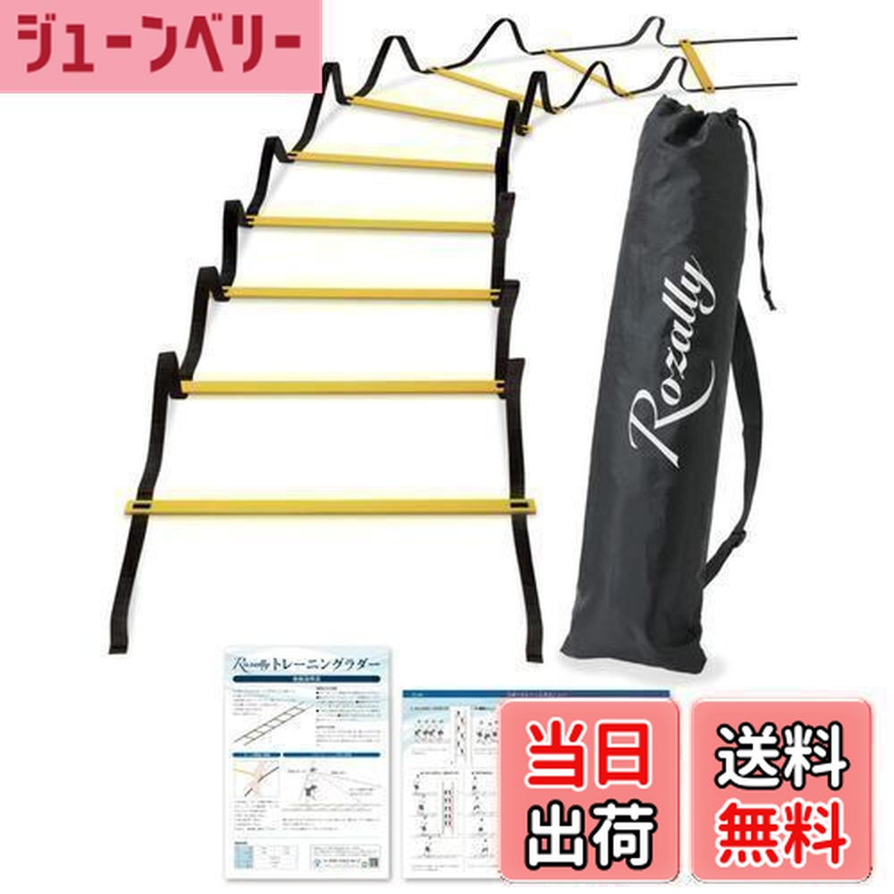 楽天市場】【NISHI ニシ・スポーツ】ラダー 屋内用 4m NT7705 陸上