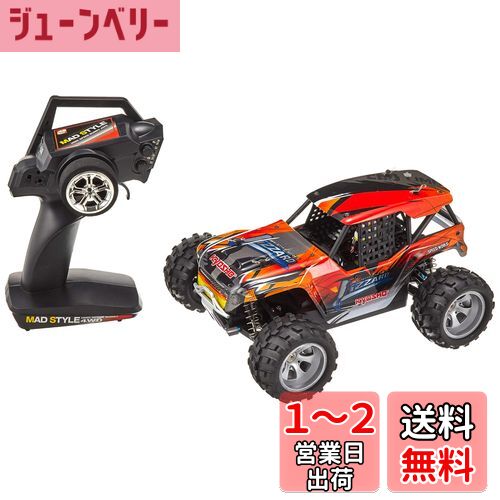RC1/16スケール マッドスタイルシリーズ リザード