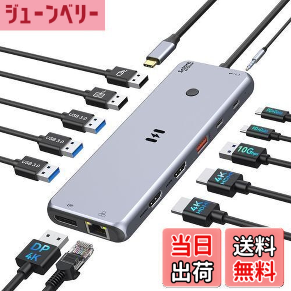 【送料無料】Selore USB C ドッキングステーション 3画面出力【ワンタッチで画面切替可能】【13 in 1】type c ドッキングステーション hdmi 2つ出力 長持ちアルミ製 usbハブ トリプルディスプレイ対応 【USB-C PD 10Gbps データ ハブ/デュアル 4K HDMI出力/USB 3.1/100W 急速
