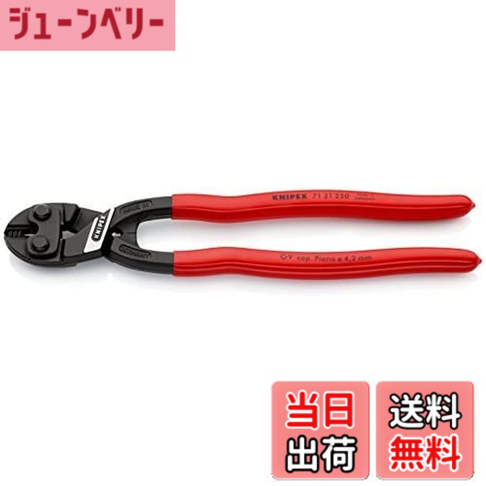 【貨物輸送無料】クニペックス KNIPEX 7131-250 小型クリッパー リセスツキ(SB)