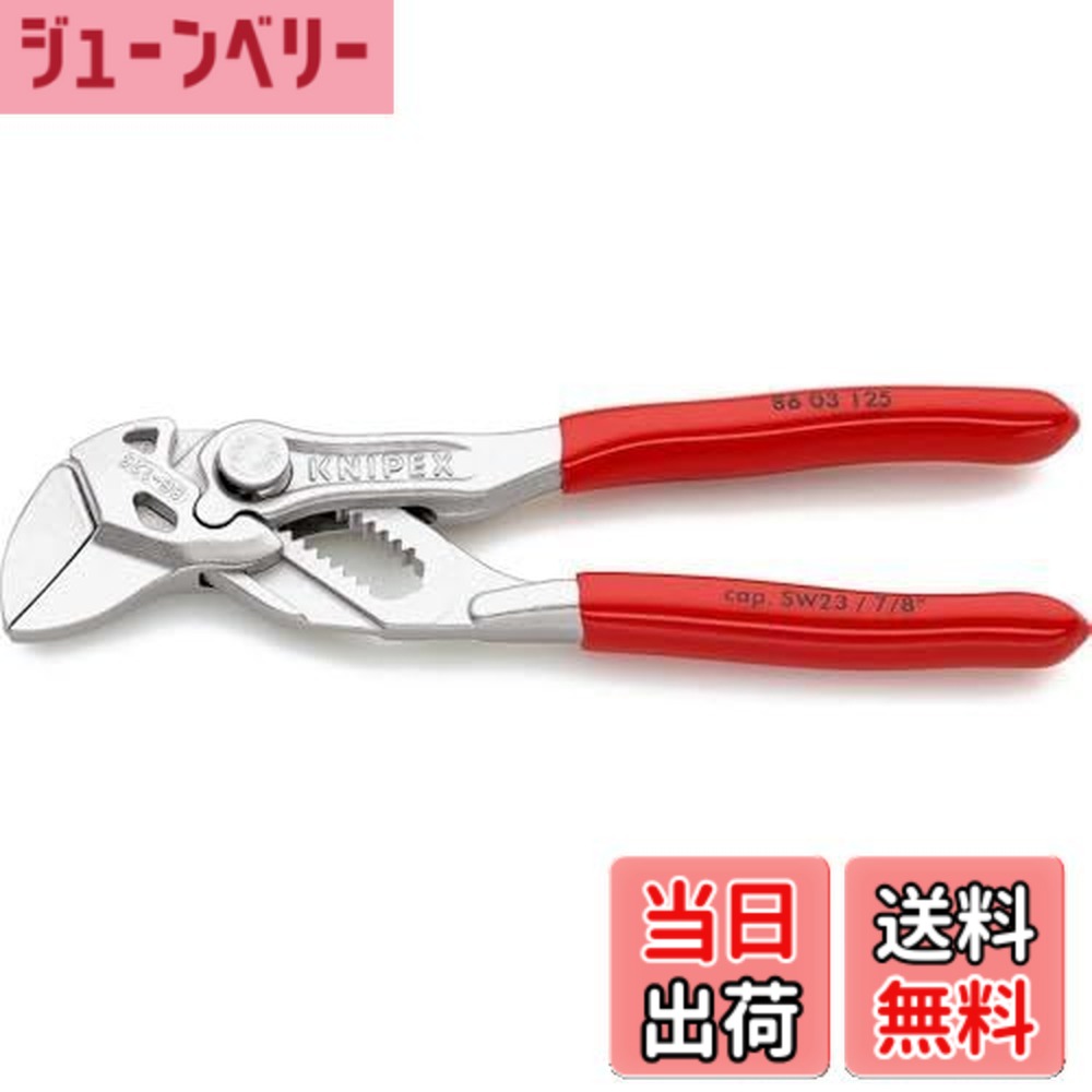 【貨物輸送無料】クニペックス KNIPEX ペンチ鍵 8603-125 (SB)
