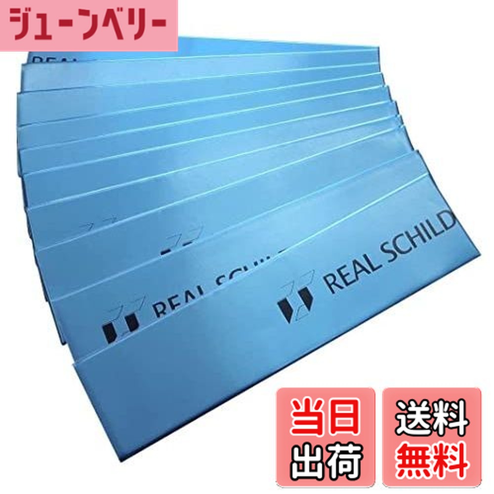 楽天市場】REAL SCHILD レアルシルト RSDB-16 デッドニング用 超・制振