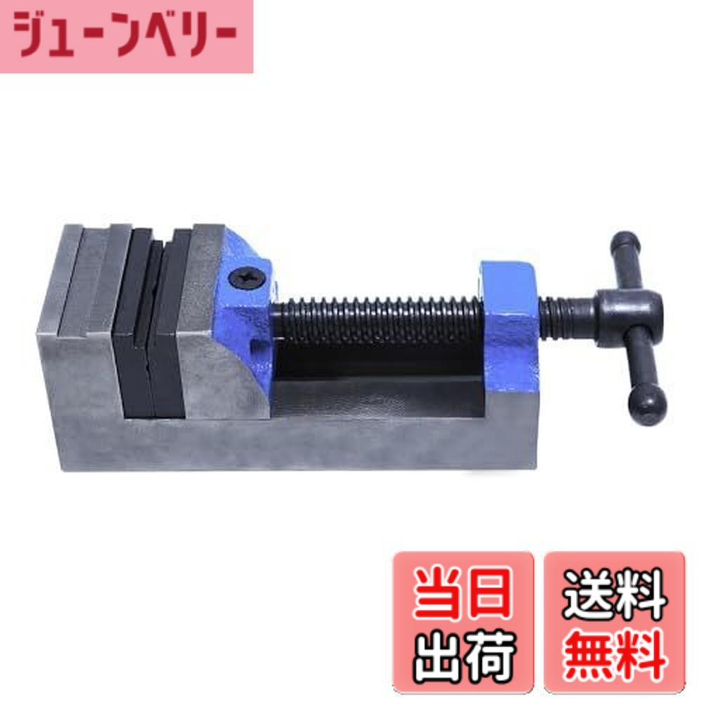 【送料無料】ヤンキーバイス