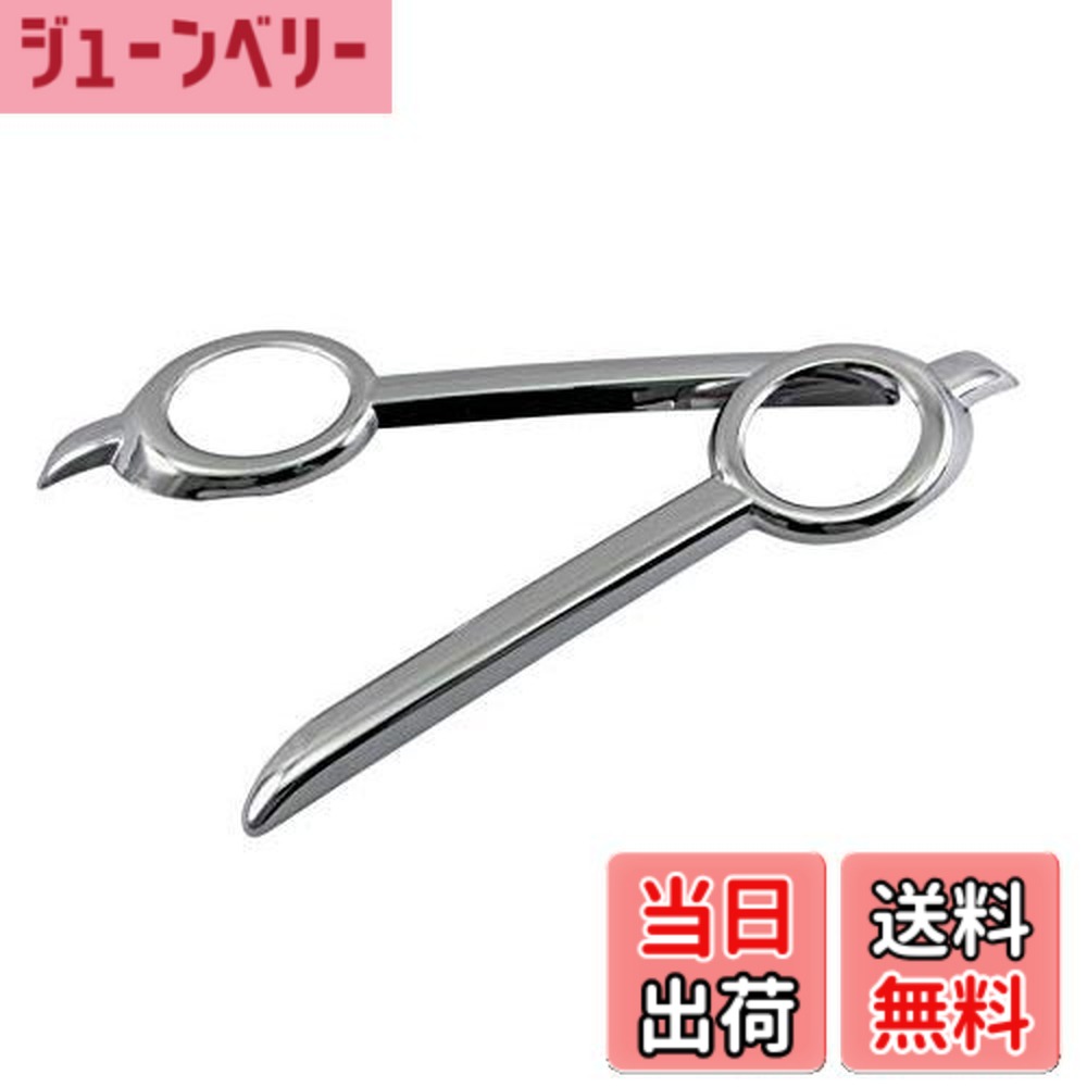 【送料無料】BRIGHTZ クラウン ARS220 メッキフォグライトカバー 【 FOG－COV－313 】 ARS S220 220 32644