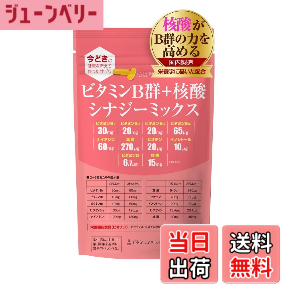 【送料無料】ビタミンB群+核酸 シナジーミックス サイズ:1袋