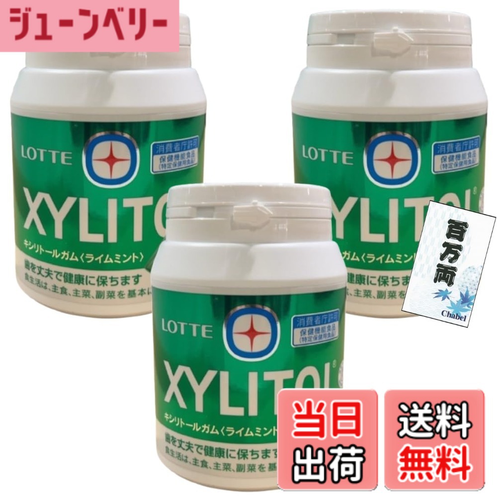 【送料無料】(大容量)XYLITOL キシリトールガム ライムミント味 290g メガボトル+百万両くじ (3個)