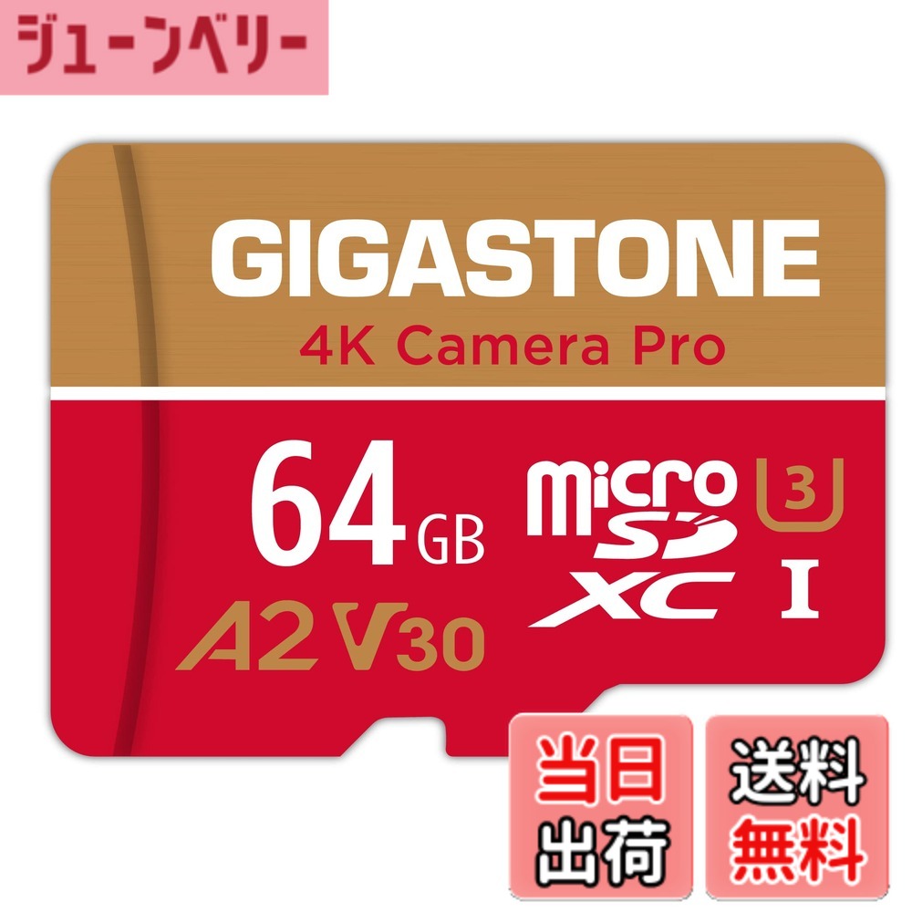 【送料無料】【5年データ復旧・無償交換】GIGASTONE マイクロsdカード 64GB 4K Camera Pro microSDXC UHS-I A2 V30 U3 C10 Ultra HD 4K ビデオ録画 Gopro アクションカメラ スポーツカメラ 95MB/s SDアダプター1枚付き