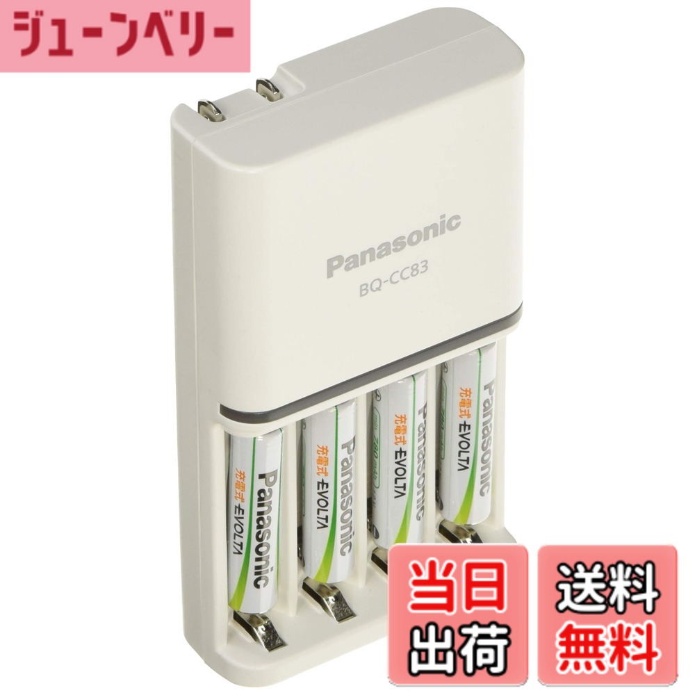 【貨物輸送無料】パナソニック 単4形 申し受ける式エボルタ 4本付申し受ける器仕掛ける K-KJ83MLE04