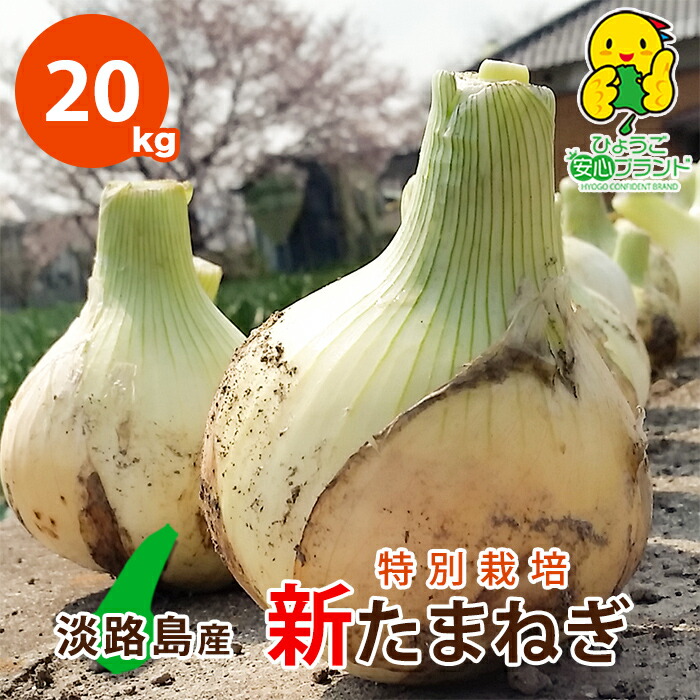 【月間優良ショップ受賞店】【７日以内発送】20キロ サイズ混合新タマネギ 新たまねぎ 特別栽培 有機肥料使用 野菜 タマネギ 新玉ねぎ 淡路島 数量限定 玉ねぎ 箱 買い 淡路島たまねぎ 淡路島産 お取り寄せ ひょうご安心ブランド 兵庫県認証食品 お料理好きな方へご贈答用に