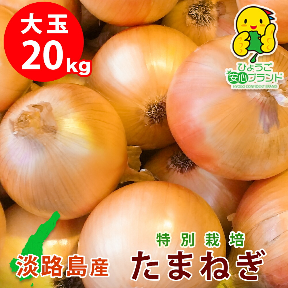 市場 あさひサンファーム 特別栽培 20キロ 令和4年収穫 晩生品種 送料無料 淡路島産 タマネギ おまかせ 有機肥料使用 数量限定 たまねぎ 大玉  中生品種 兵庫県