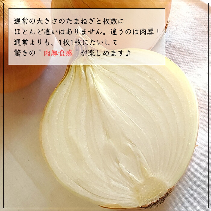 由来あり 大玉 キロ 真中親系種類 晩生品種 おまかせ 大きに育てる 有機廐肥使う 命令連盟3歳所制作 貨物輸送無料 分量限定 淡路島産 玉ねぎ タマネギ たまねぎ ひょうご堅実ブランド名 兵庫県允許食料品 お割烹好意な方面へ 御父さんの日時 コロナ 家料理 引き換え証
