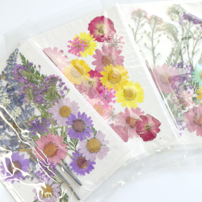 楽天市場 1セット 押し花セット C カラフル草花 葉 レジン ドライフラワー プリザーブド 押花 スマホケース ノースポール ハーバリウム アクセサリー パーツ 材料 卸 ハンドメイド 手芸 手芸材料のお店 Craft Tamago