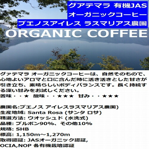 楽天市場 グアテマラ 有機jasオーガニック ブエノスアイレス ラスマリアス農園 200g Organic 旭珈琲 旭コーヒー アサヒコーヒー 無農薬 美味しい 旭珈琲 楽天市場店