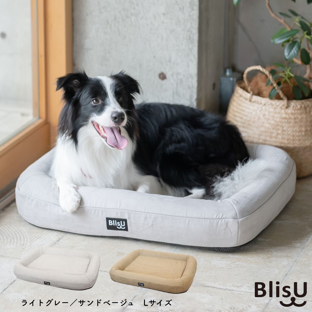 楽天市場】ペット用ベッド BlisU ペットベッド Lサイズ サンドベージュ 犬用ベッド 猫用ベッド クッション 丸洗い 洗える 日本製  AA000062 : アサヒペンストア楽天市場店