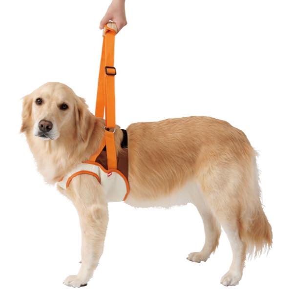 Petio ペティオ 老犬介護用 歩行補助ハーネスK 前足用 3Lサイズ 【74%OFF!】