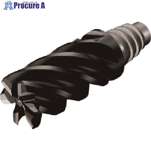 SANDVIK コロミル316 フライス産業用超硬尖端(345) 1745 A316-16FL642-06231L   1745 (345) 1個 ■▼162-2525 【貨物輸送都度積もり書き】 ●KO521