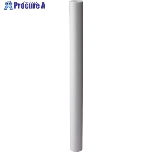AION カネフィールFDY 750mm 公称精度1μm FDY-Y01T 20本 ■▼805-2406
