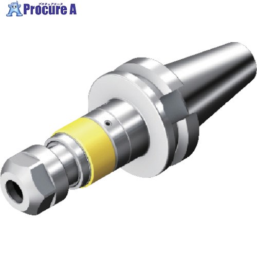 SANDVIK コロチャック970(540) 970-BB30-25-125 (540) 1個 ■▼823-0914 【貨物輸送都度積もり書き】 ●KO521