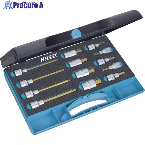 HAZET ヘックスドライバーソケットセット(差込角12.7mm) ケース入り 986/13 1S ■▼828-8556 【送料都度見積】｜プロキュアエース