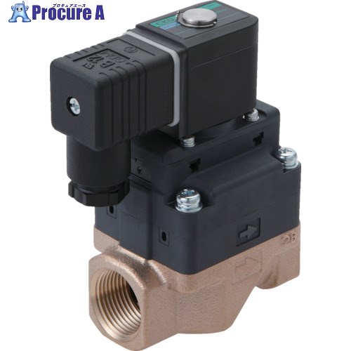 CKD 水用小っちゃい飛行士式電磁弁 FWD11-15A-02CSB-AC200V 1個 ■▼838-7927【代引決済不可】【貨物輸送都度積もり書き】 花・ガーデン・DIY-配管資材