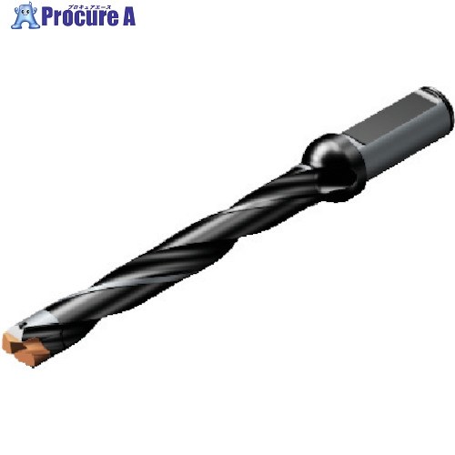 SANDVIK コロドリル870 尖端取り替えっこ式せん孔機(446) 870-1700-17L20-8 (446) 1本 ■▼565-5820 【貨物輸送都度積もり書き】 ●KO521