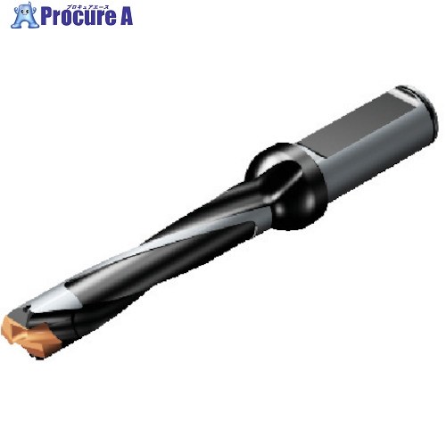 SANDVIK コロドリル870 ヘッド交換式ドリル(446) 870-2400-24L32-5 (446) 1本 ■▼565-7539 【送料都度見積】 ●KO521