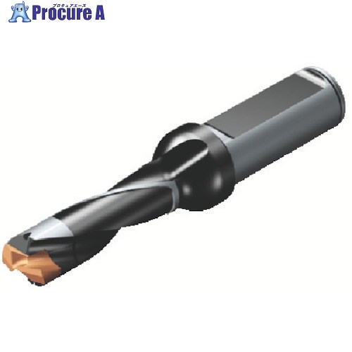 SANDVIK コロドリル870 ヘッド交換式ドリル(446) 870-3000-30L32-5 (446) 1本 ■▼565-8462 【送料都度見積】 ●KO521|プロキュアエース