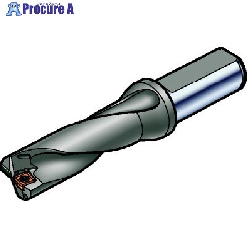 売れ筋 サンドビック スーパーUドリル 刃先交換式ドリル 465 880