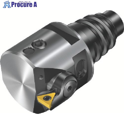 SANDVIK コロボア825(530) 825-29TC06-EH20 (530) 1個 ■▼611-7023 【送料都度見積】 ●KO521
