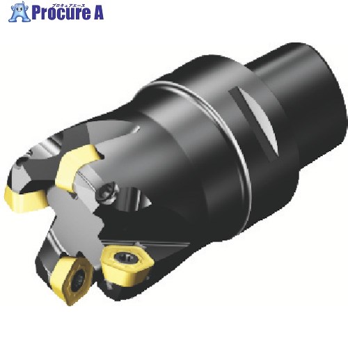 SANDVIK コロミル419 正面フライスカッター(450) 419-066C6-14M (450) 1台 ■▼825-0643 【送料都度見積】 ●KO521